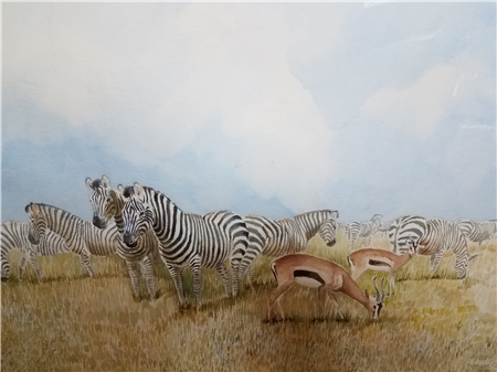 Zebras and Gazelles