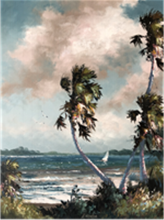 Indian River Sail