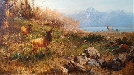 Jackson Hole Elk