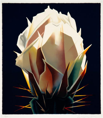 Diamond Bloom