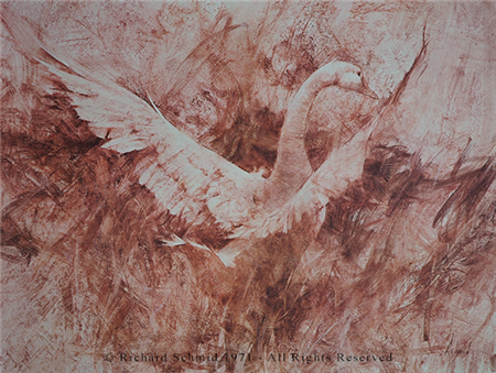 White Goose