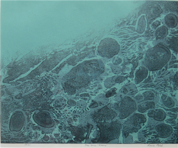 Sea Series: Kaena Point