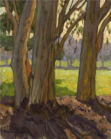 Eucalyptus Afternoon