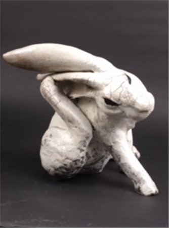 Rabbit Grooming