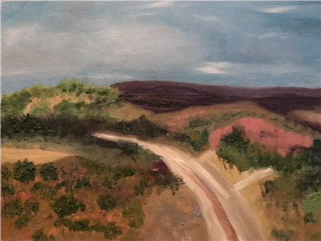 Near Enchanted Rock
