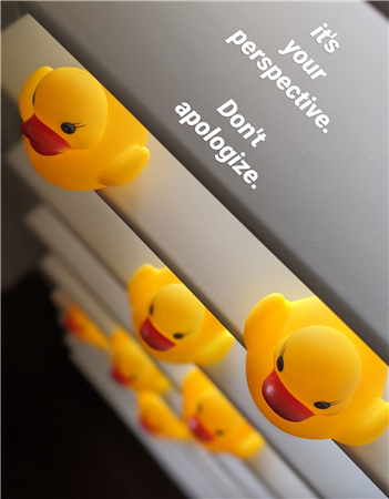 It's Your Perspective Don't Apologize - Image 1 of 4
