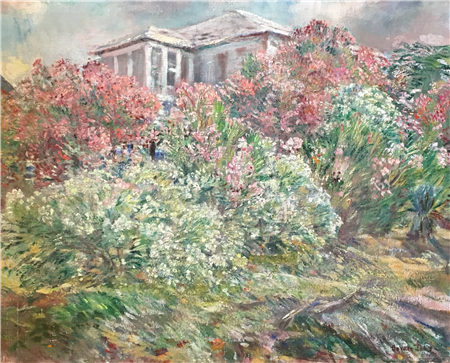 Oleanders at Edisto Beach