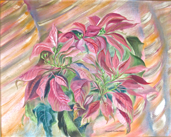 Salmon Poinsettas