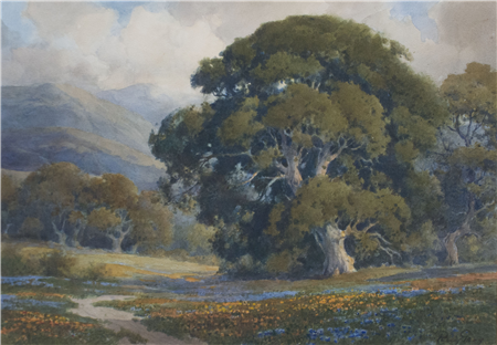 Poppies and Lupines under the Oak