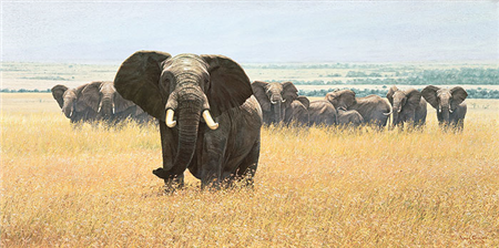 Simon Combes 1940-2004 "Confrontation" Print 18"X 36"