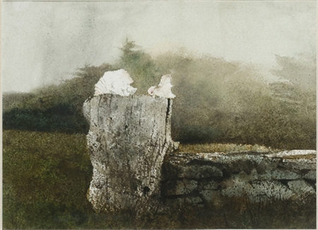 Whalebone