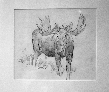 Bull Moose