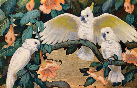 Sulphur Crested Cockatoos