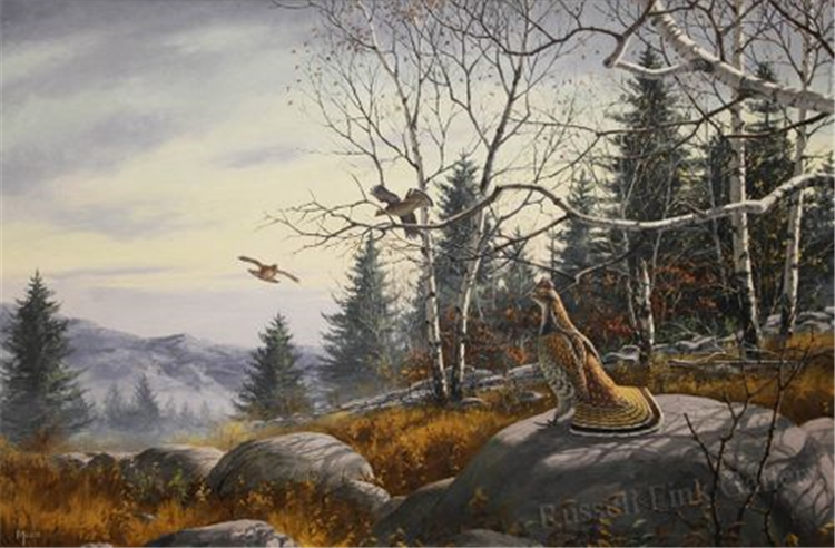 David Maass (born 1929)