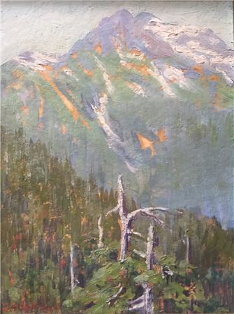 Cascade Mountain View