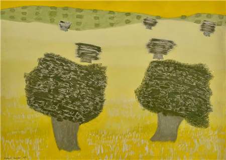 Spanish Olive Trees
