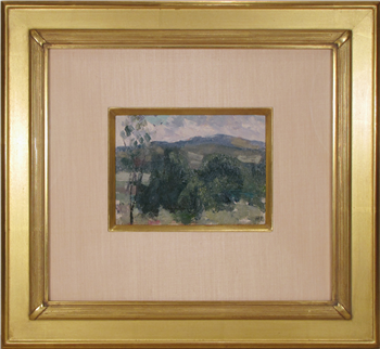 Hillside Vista