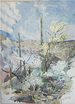 Sahuaro Spring