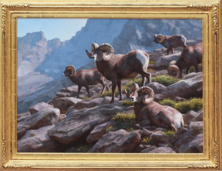 Bighorn Habits - Image 2 of 2