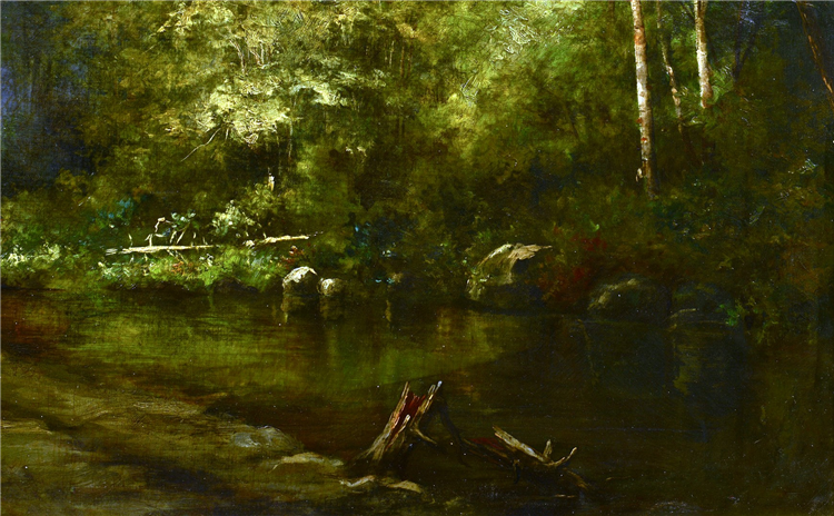 THE COVE - Image 4 of 4
