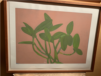 Orchid Plant - Image 1 of 3