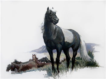 The Painted Stallion