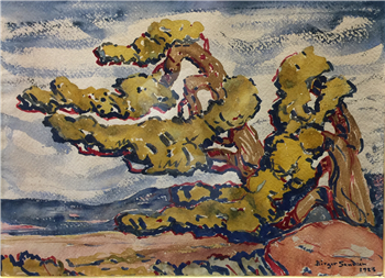Timberline Pines Pikes Peak 1923
