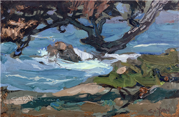 Coastal Cypress
