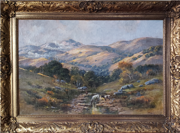 Spring Time in Marin Hills - Image 1 of 2