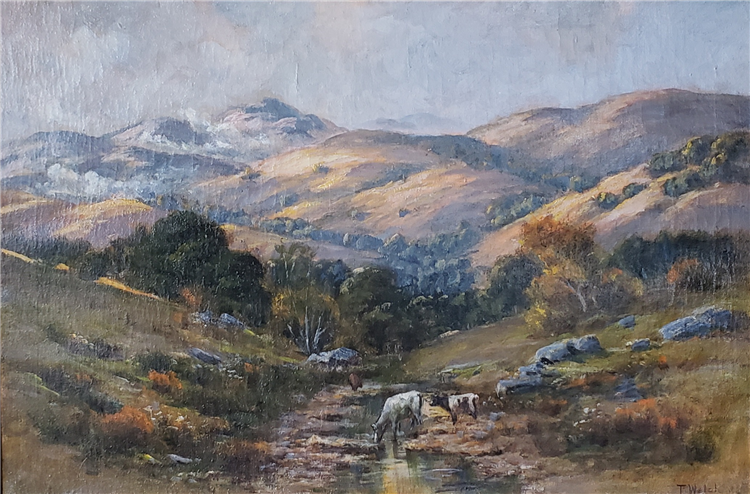 Spring Time in Marin Hills - Image 2 of 2