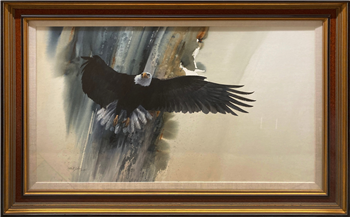 Wings of Wonder