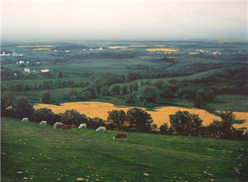 A Summer Landscape