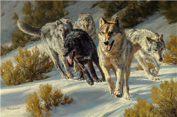 Winter Warriors