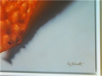 Dorito - Image 1 of 2