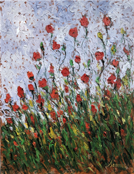 Coquelicots