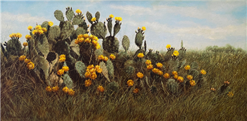 "Texas Prairie Rose" Blooming Prickly Pear Cactus - Image 1 of 2