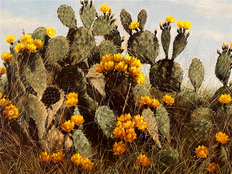 "Texas Prairie Rose" Blooming Prickly Pear Cactus - Image 2 of 2