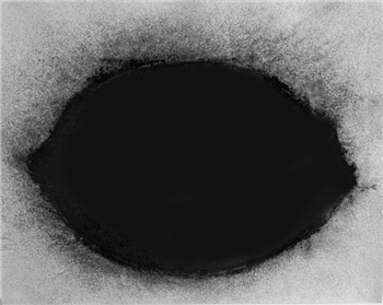 "Black Lemon" original Charcoal Drawing - Image 1 of 4