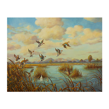 Pintails in the March - Image 1 of 2
