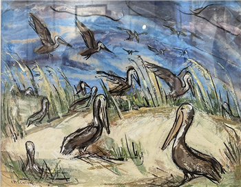 Pelicans