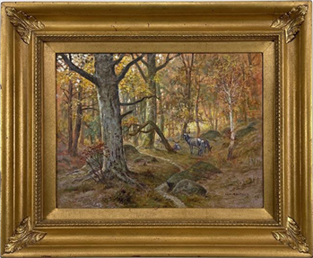 Mule Deer In Autumn