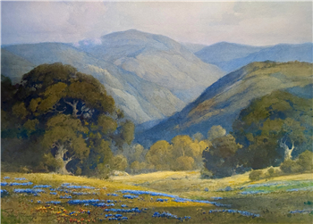 “Poppies, Lupine & Oaks”