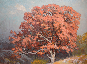 Colors of Fall