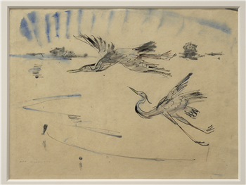 Herons in Flight