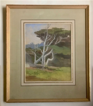Monterey Cypress (untitled) - Image 1 of 3