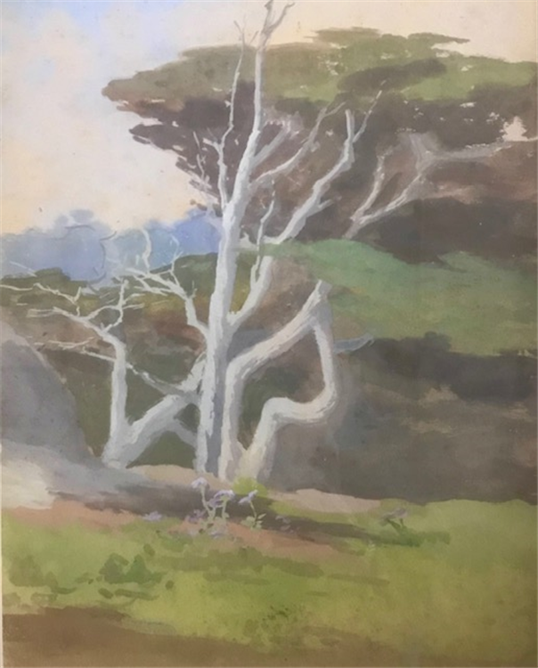 Monterey Cypress (untitled) - Image 2 of 3