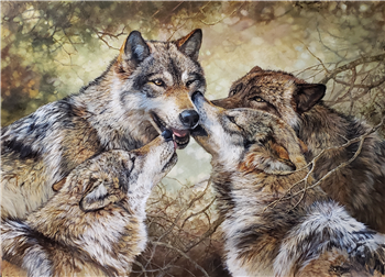 The Way of Wolves