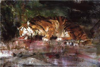 Bengal Tiger