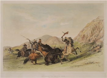Attacking the Grizzly Bear - Image 1 of 2