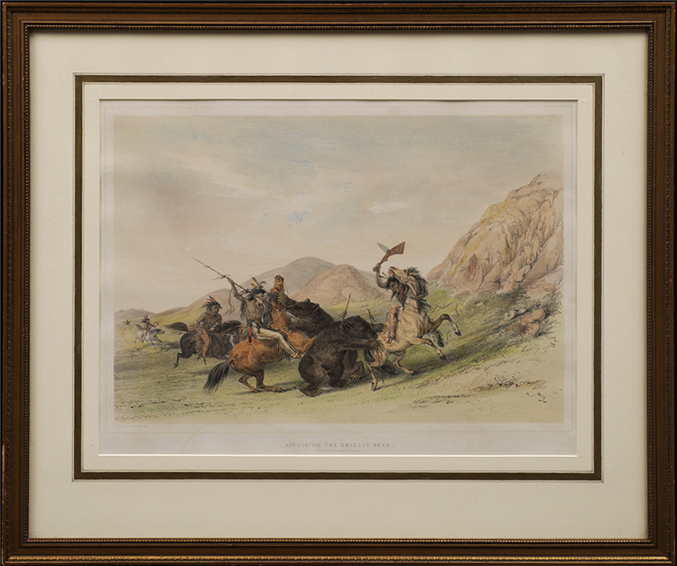 Attacking the Grizzly Bear - Image 2 of 2